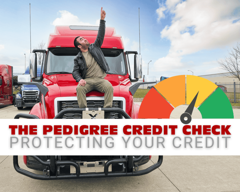 pedigree credit check