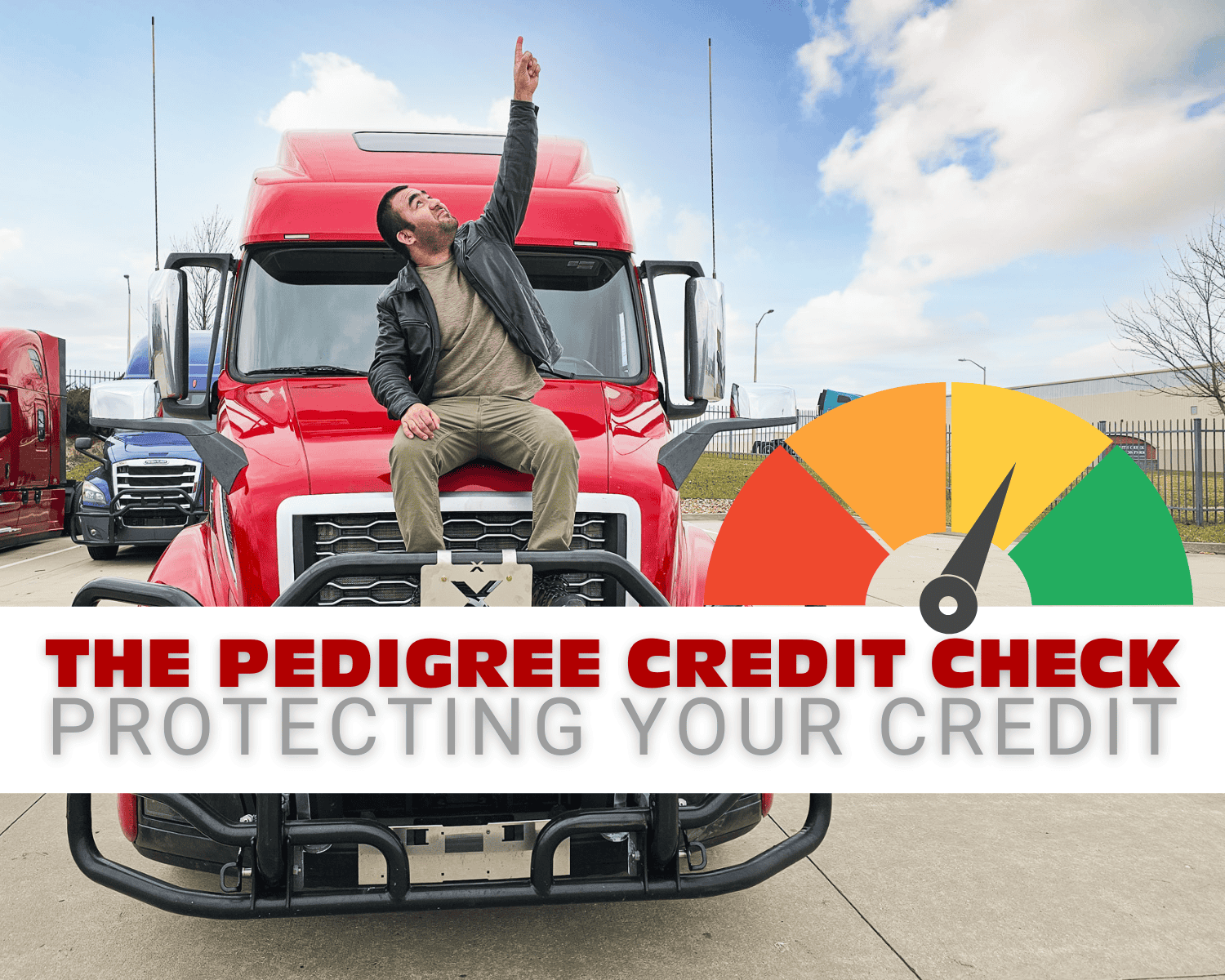 pedigree credit check
