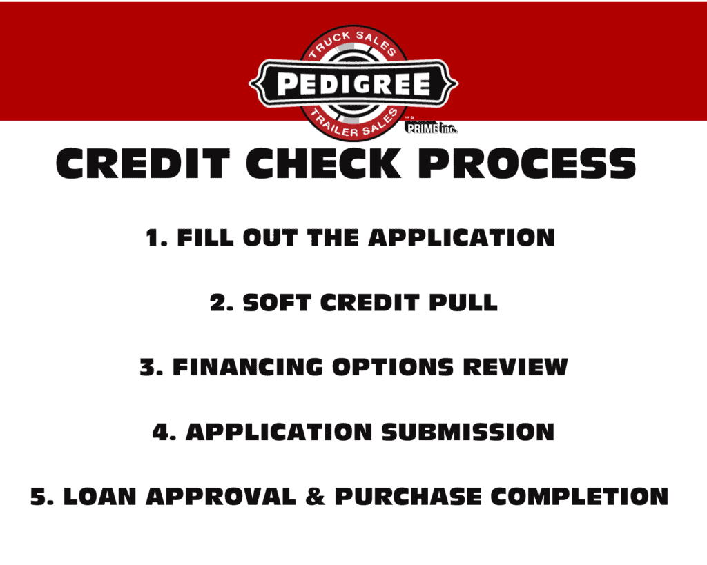 pedigree credit check