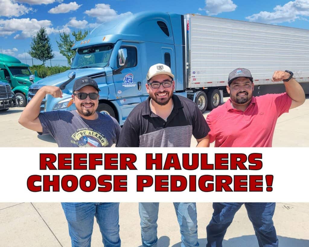 used reefer trailer with thermoking