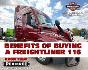 used freight liner 116