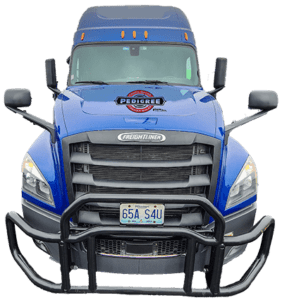 Blue Freightliner - Pedigree Truck and Trailer Sales - Used Semi Trucks-min
